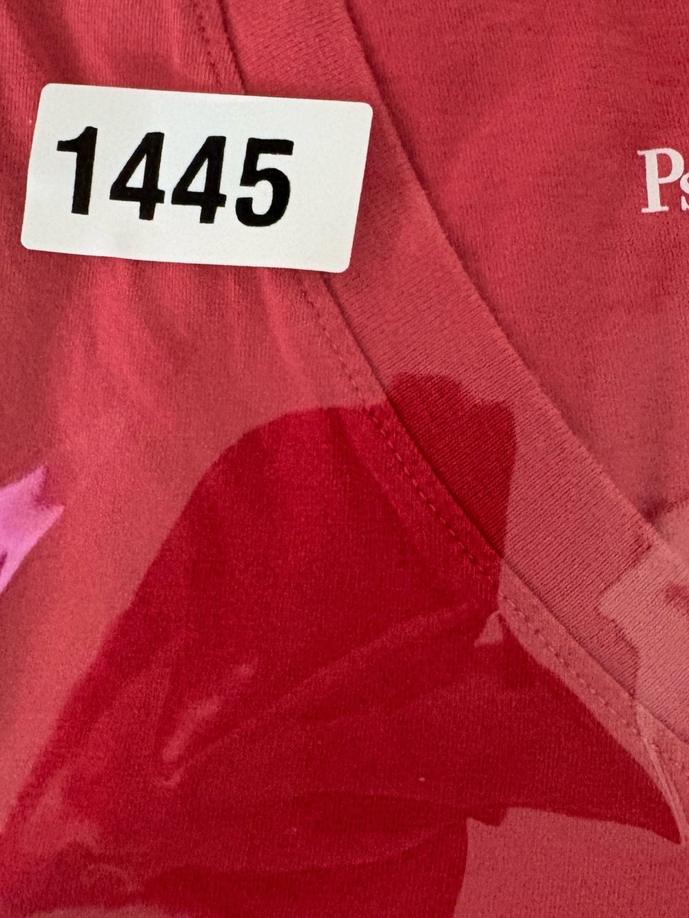 Psycho Bunny Men's Red V-Neck Tee with Embroidered Logo - Picture 6 of 6